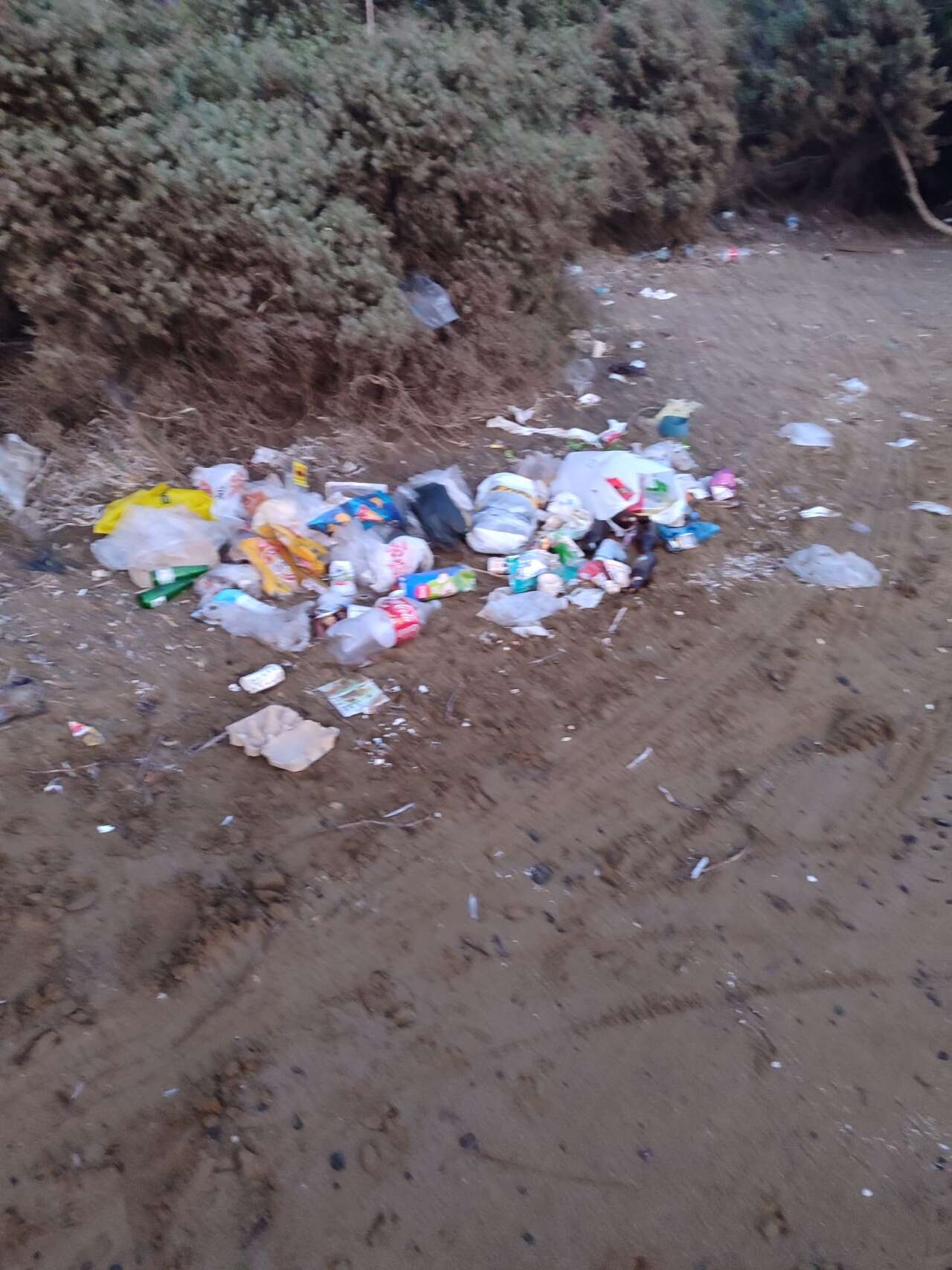 Marmaris’te Bördübet Sahili Çöplüğe Döndü, Mahalleli İsyan Etti 1